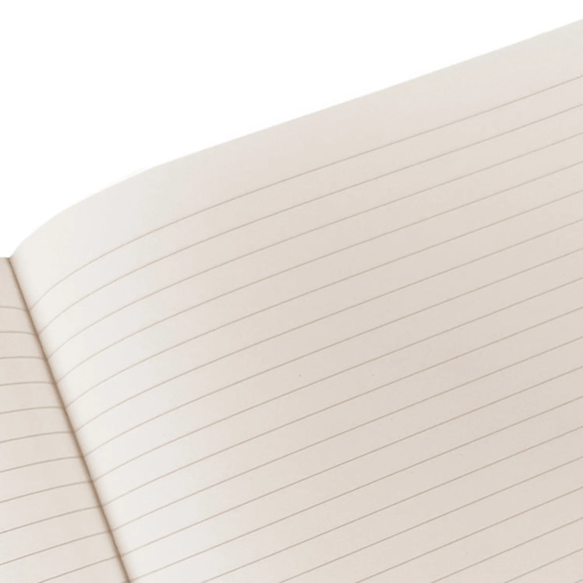 Large Bristol Journal - Image 3